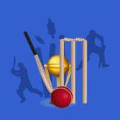 MSL Cricket prediction