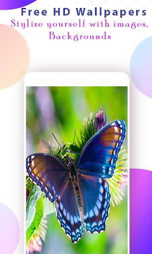 Butterfly Wallpaper HD screenshot 1
