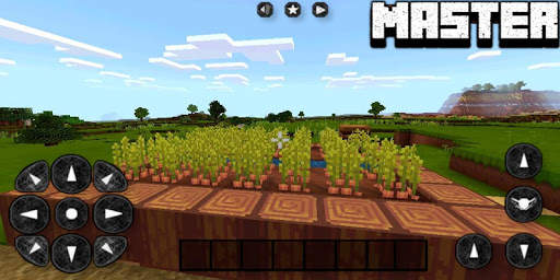 master craft - Block Sandbox Edition screenshot 2
