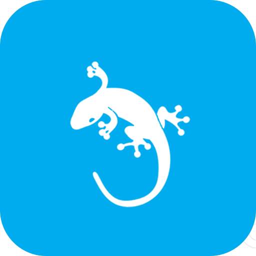 GeckoVPN - Free Unlimited VPN 2.4
