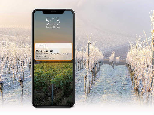 Météus screenshot 6