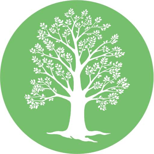 New Life School 1.7.6