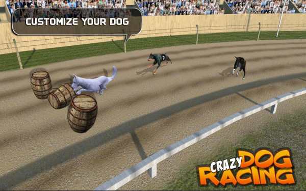 Crazy Dog Racing screenshot 2