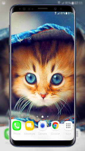 Cats Live Wallpaper screenshot 2