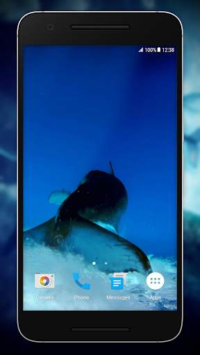 Blue Whale Video Live Wallpaper screenshot 4