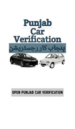 Punjab Car Verification screenshot 2