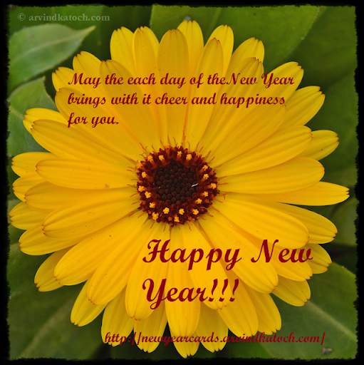 True Pic New Year Cards (2020) screenshot 6