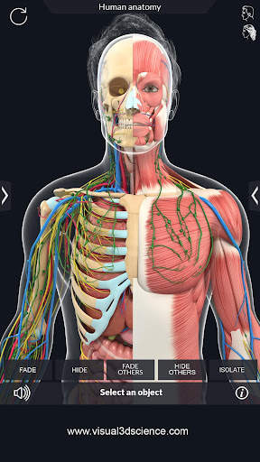 Human Anatomy screenshot 5