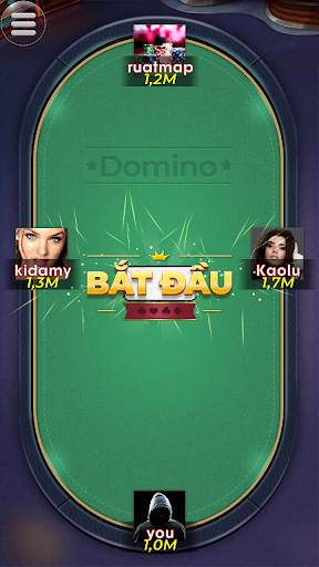 Domino screenshot 3