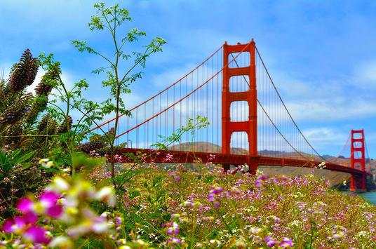 Famous Bridge Photo Background screenshot 8