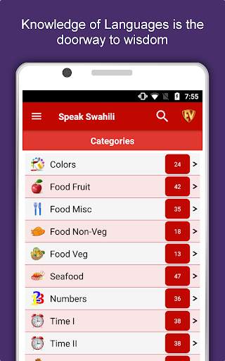 Speak Swahili : Learn Swahili Language Offline screenshot 9