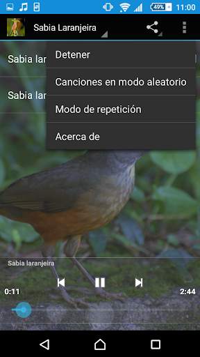 Singing Sabia screenshot 2