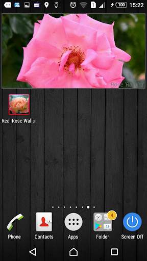 Gardener's roses screenshot 6