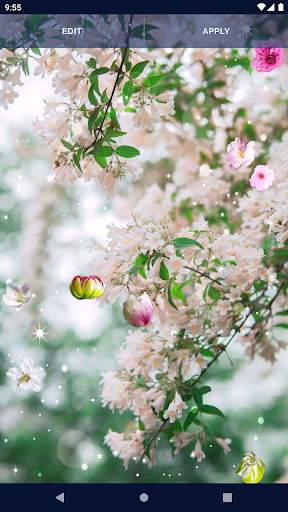 Cherry Blossom Live Wallpaper screenshot 7