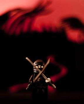 Toy Puzzle Ninja screenshot 1