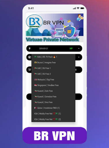 BR VPN screenshot 4