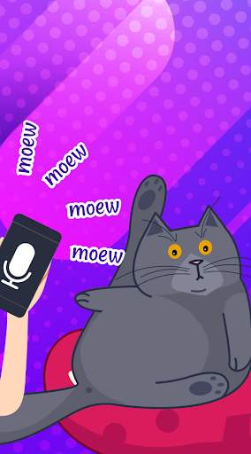 Cat Translator Game - Communicate with Animals screenshot 4