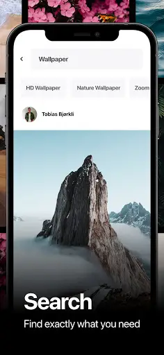 Pexels: HD  videos & photos screenshot 3