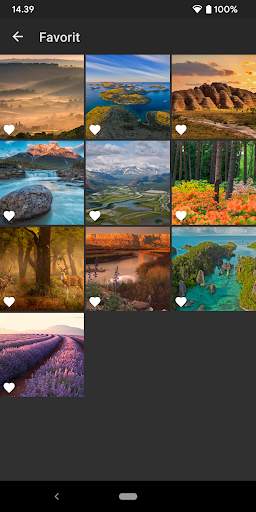 Galeri-Foto & Editor Exif screenshot 6