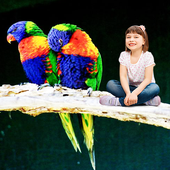 Birds Photo Frame icon