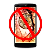 Camera Locker icon