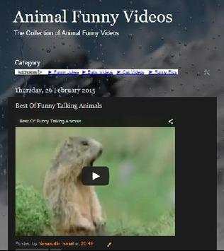 Animal Funny Video Collection screenshot 2