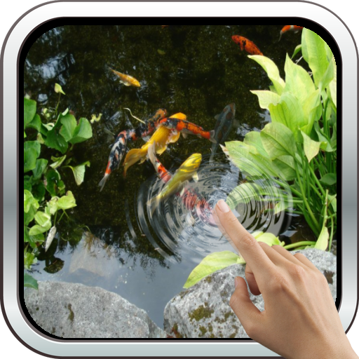Magic Touch: Realistic Koi Live Wallpaper icon