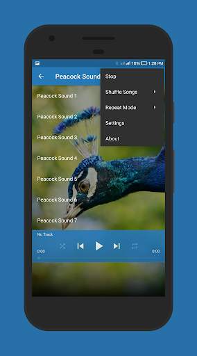 Peacock Sounds screenshot 4