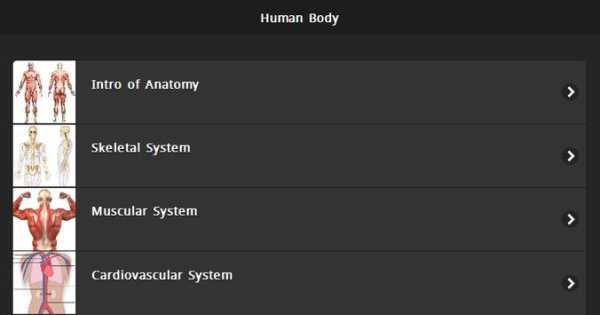 Human Body screenshot 3