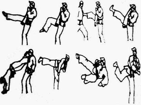 Learn Kung Fu Techniques screenshot 4