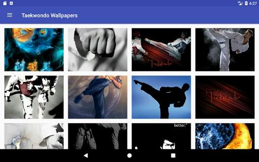 Taekwondo Wallpapers HD & Motivation скриншот 4