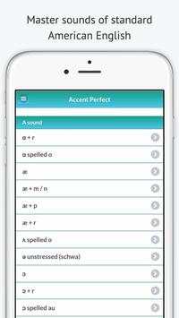 Accent Perfect скриншот 1