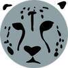 Cheetah browser 64.0.3276.0