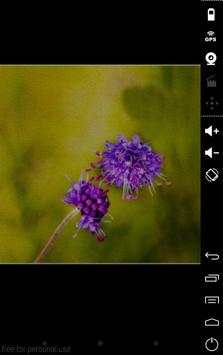 500px Screensaver screenshot 3