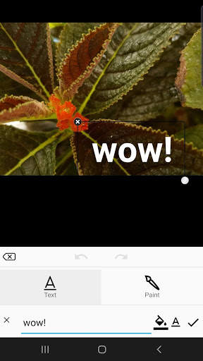 Photo Editor Lab screenshot 2