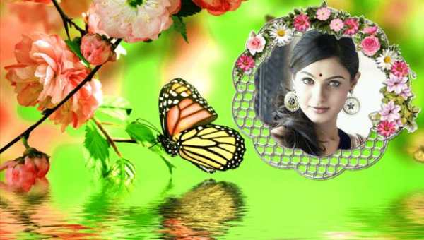 Butterfly Frames screenshot 6