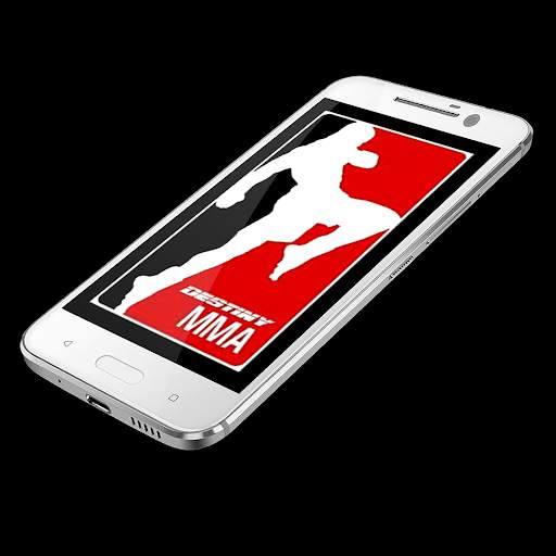 Martial Art Wallpaper screenshot 5