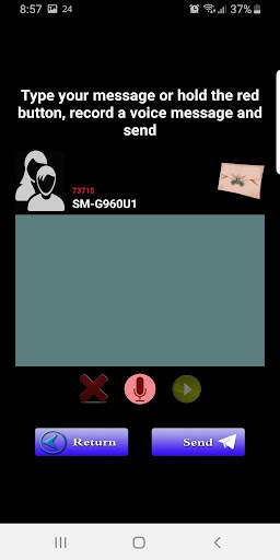 Professional Walkie Talkie screenshot 6