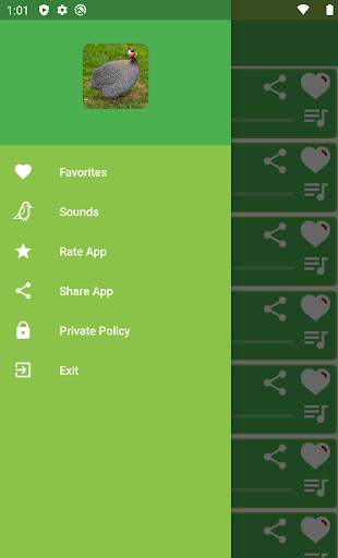 Guinea Fowl Sounds & Calls screenshot 2