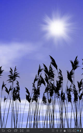Reeds Free Live Wallpaper screenshot 2