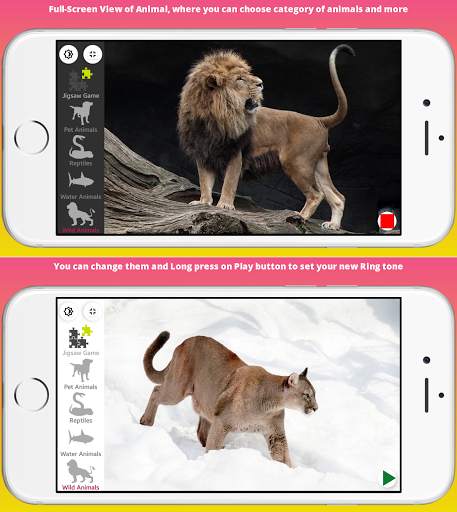 Animal Sounds: Ark:  Pro Learn screenshot 1