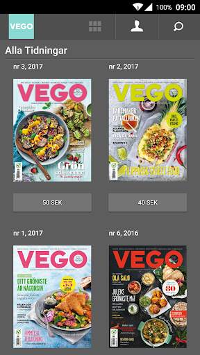 VEGO screenshot 2