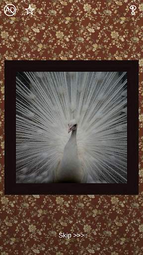 Birds Puzzles - 100 Pictures screenshot 6