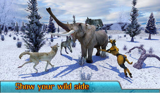 Angry Wolf Simulator 3D screenshot 9
