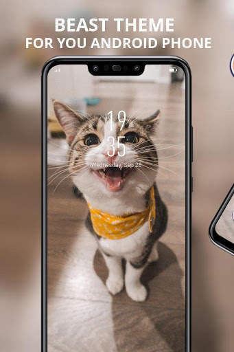 Cute Cat With Open Mouth Theme screenshot 1