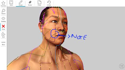 Visual Acupuncture 3D स्क्रीनशॉट 12