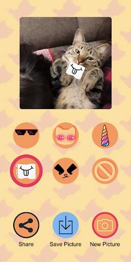 CatAI screenshot 3