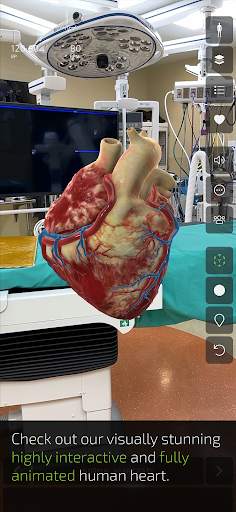 INSIGHT HEART Lite screenshot 3