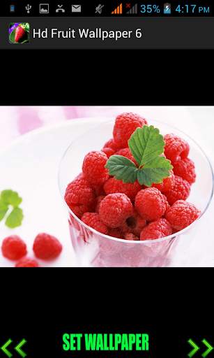 Hd Fruit Wallpaper screenshot 5
