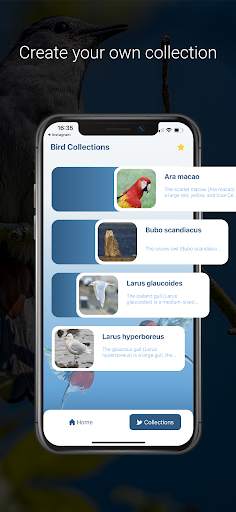 Bird Identifier - Picture Bird screenshot 4